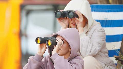 Анапа туриста сдала